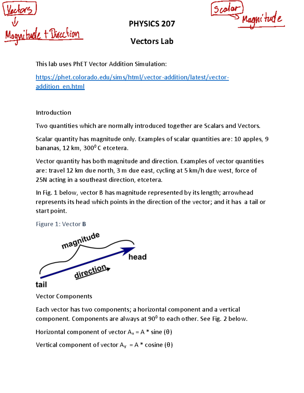 Physics Lab 2 Lab experiments and solutions PHYSICS 207 Vectors Lab