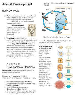 Pdfcoffee - General Biology 1 Module 2 - General Biology 1 Quarter 1 ...