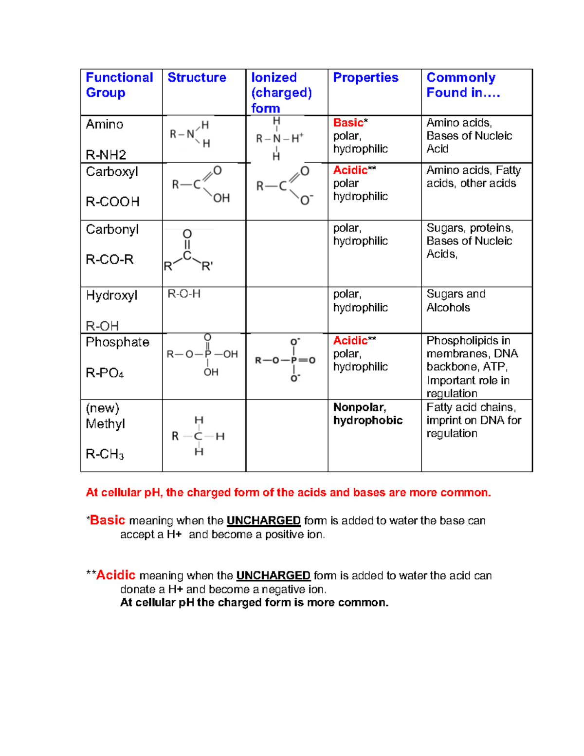 Protein Functional Group Table - Functional Group Str Ucture Ionized 