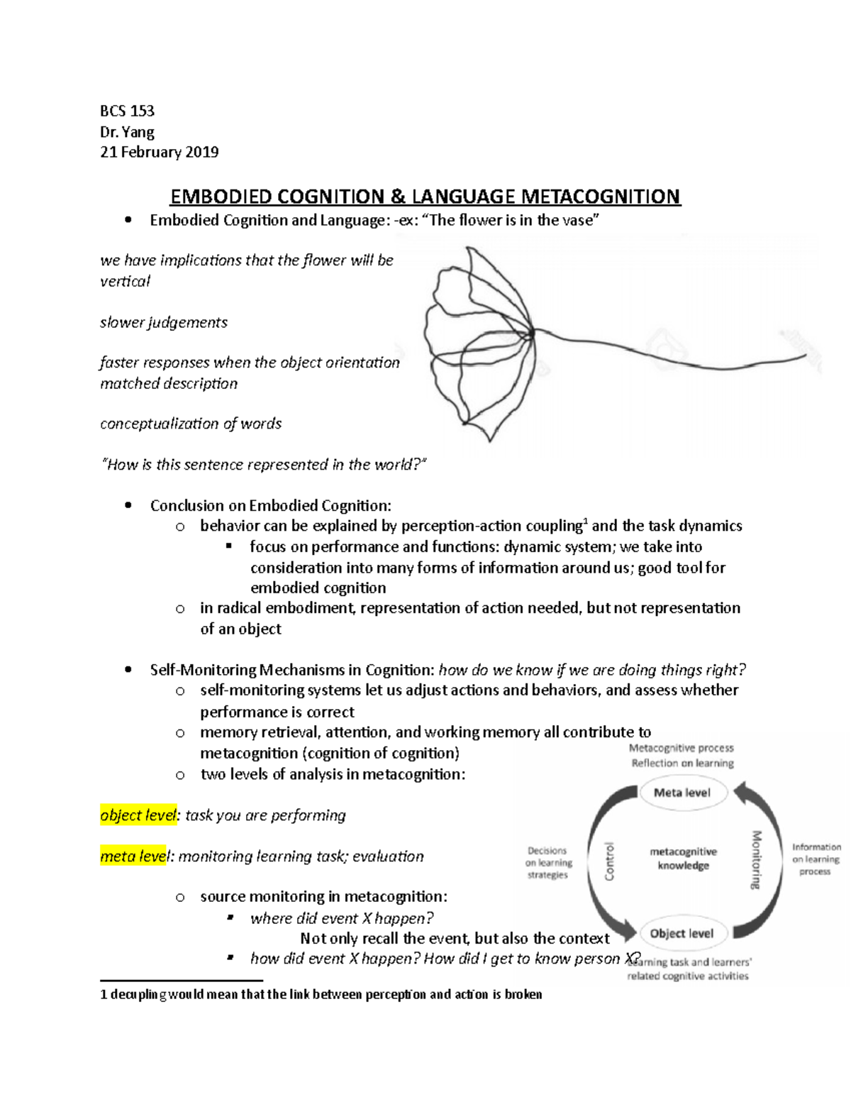 Embodied Cognition & Language Metacognition - BCS 153 Dr. Yang 21 ...