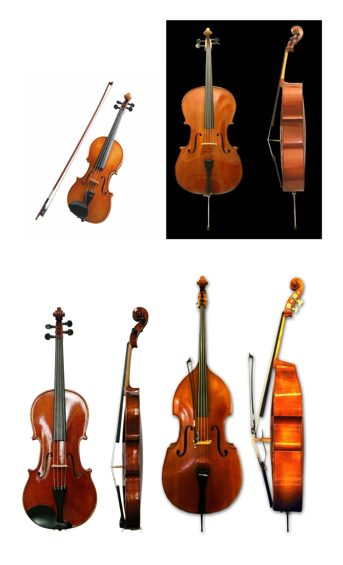 Strings family - Violin- the smallest but with the highest pitch in ...