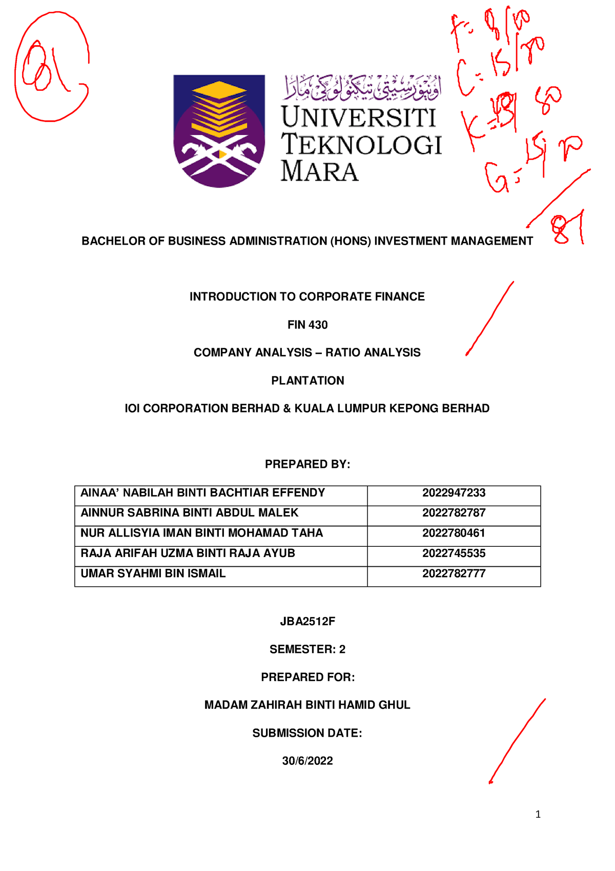 fin430 group assignment company analysis