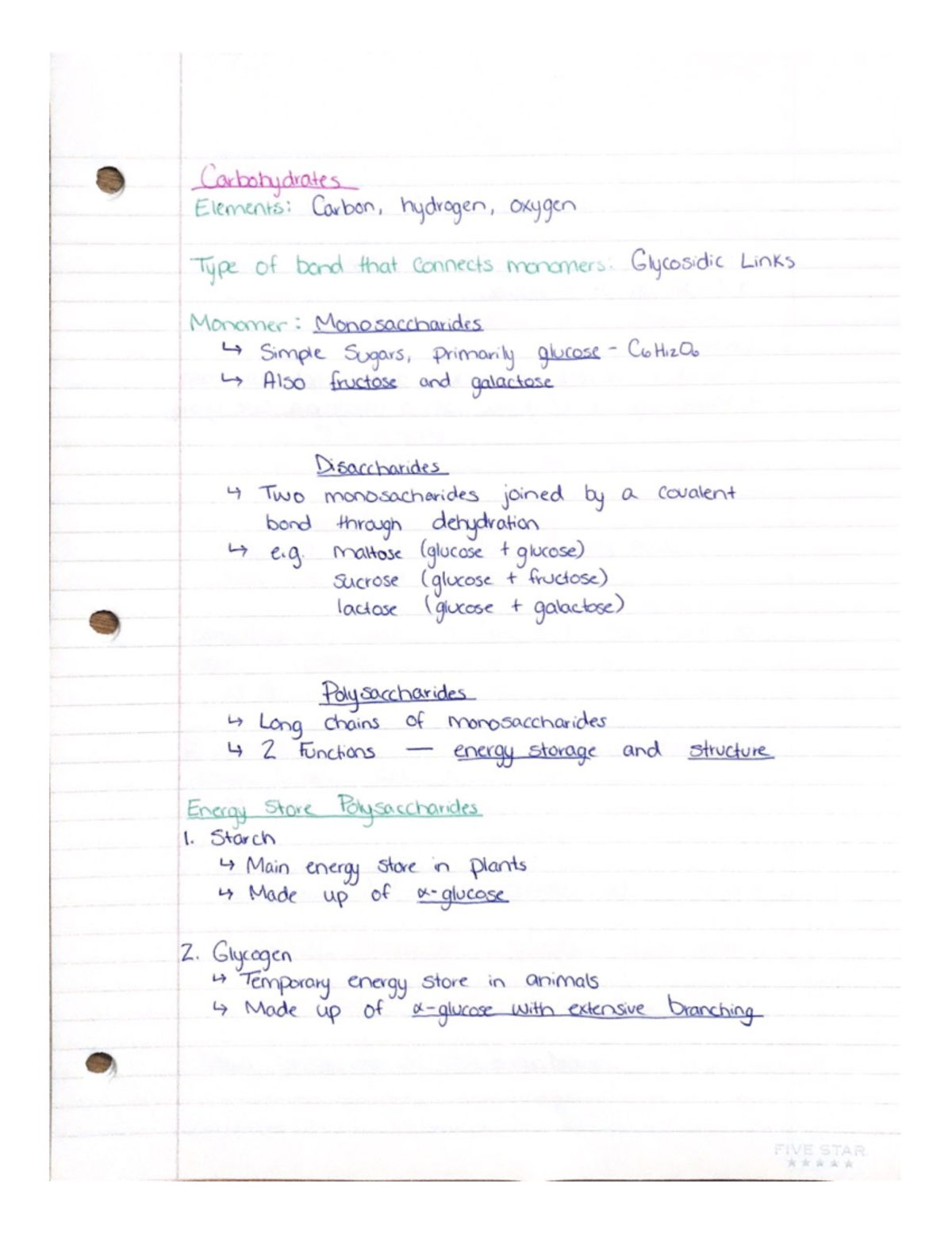 section 3 bio 1001 macromolecules - Biol 1001 - Studocu