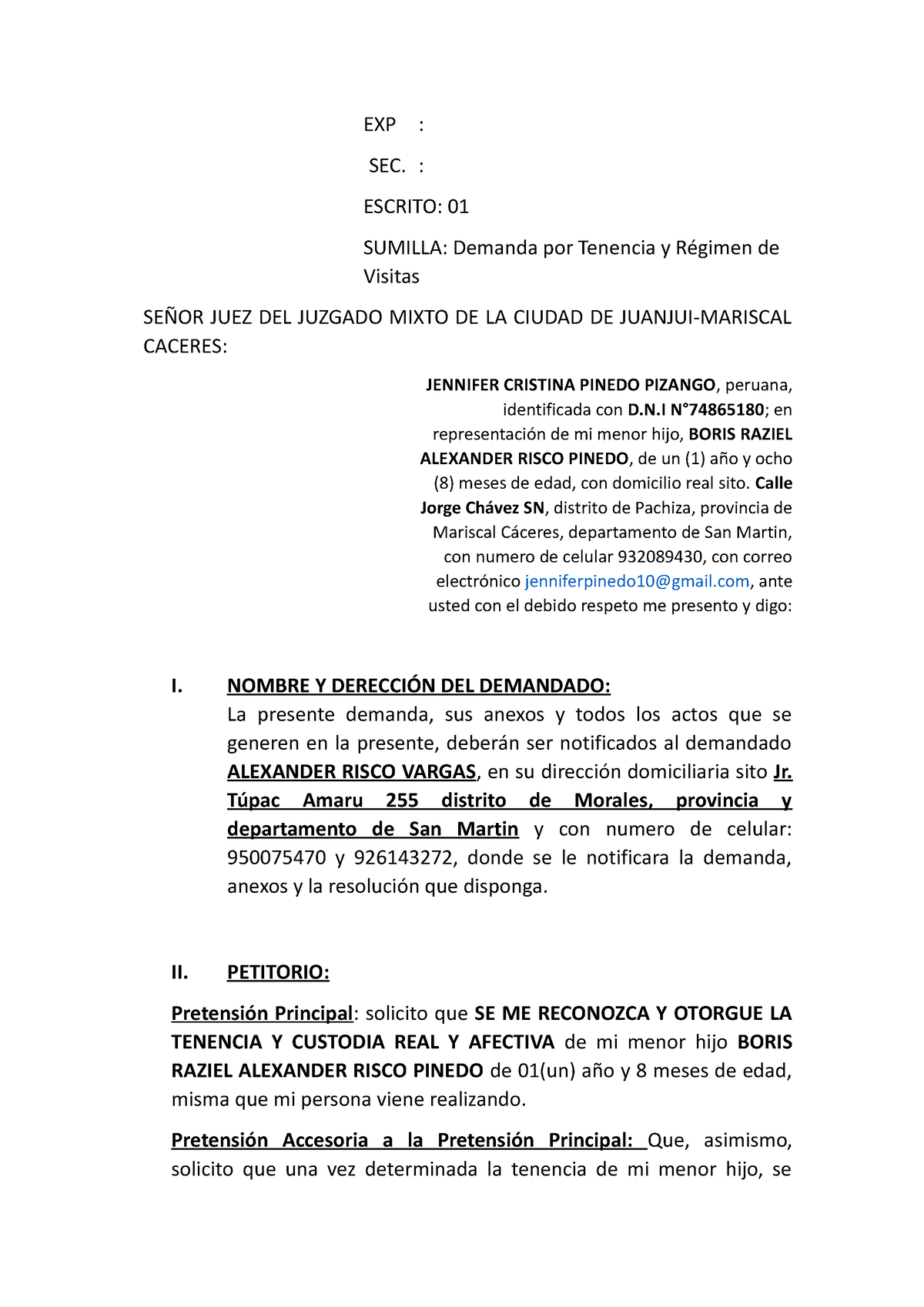 Modelo Demanda Tenencia Exp Sec Escrito 01 Sumilla Demanda Por Tenencia Y Régimen De 0659