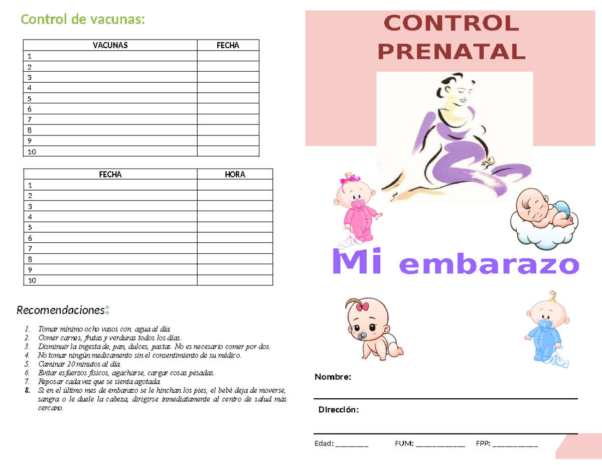 Tarjeta De Control Prenatal Fecha Hora 1 2 3 4 5 6 7 8 9 10 1 Tomar Mínimo Ocho Vasos Con