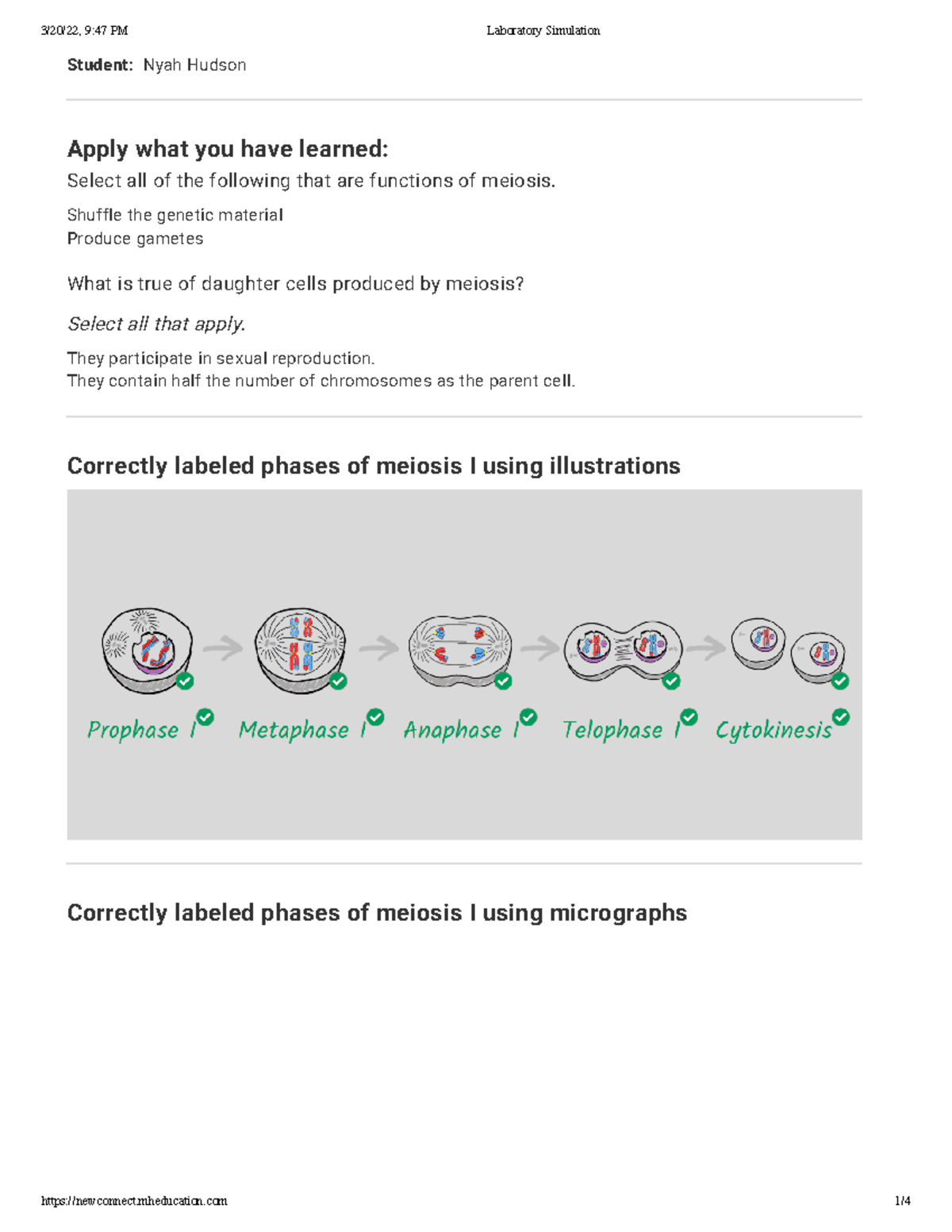 Cell Division - Examining Meiosis - Student:Apply What You Have Learned ...