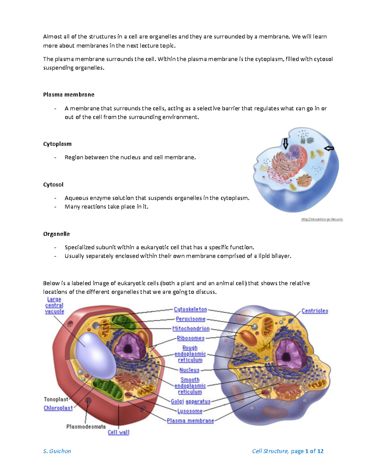 Cell Structure - Notes(1) copy - Almost all of the structures in a cell ...