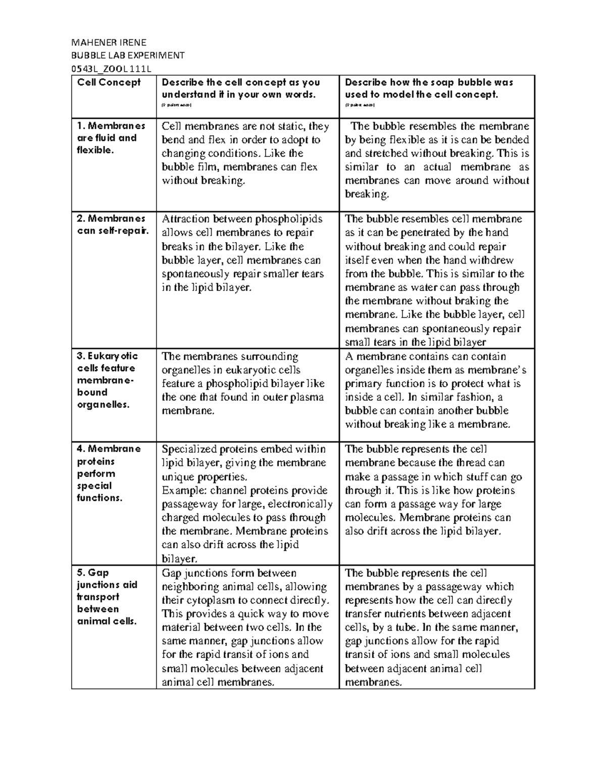 Bubble LAB Experiment None MAHENER IRENE BUBBLE LAB EXPERIMENT