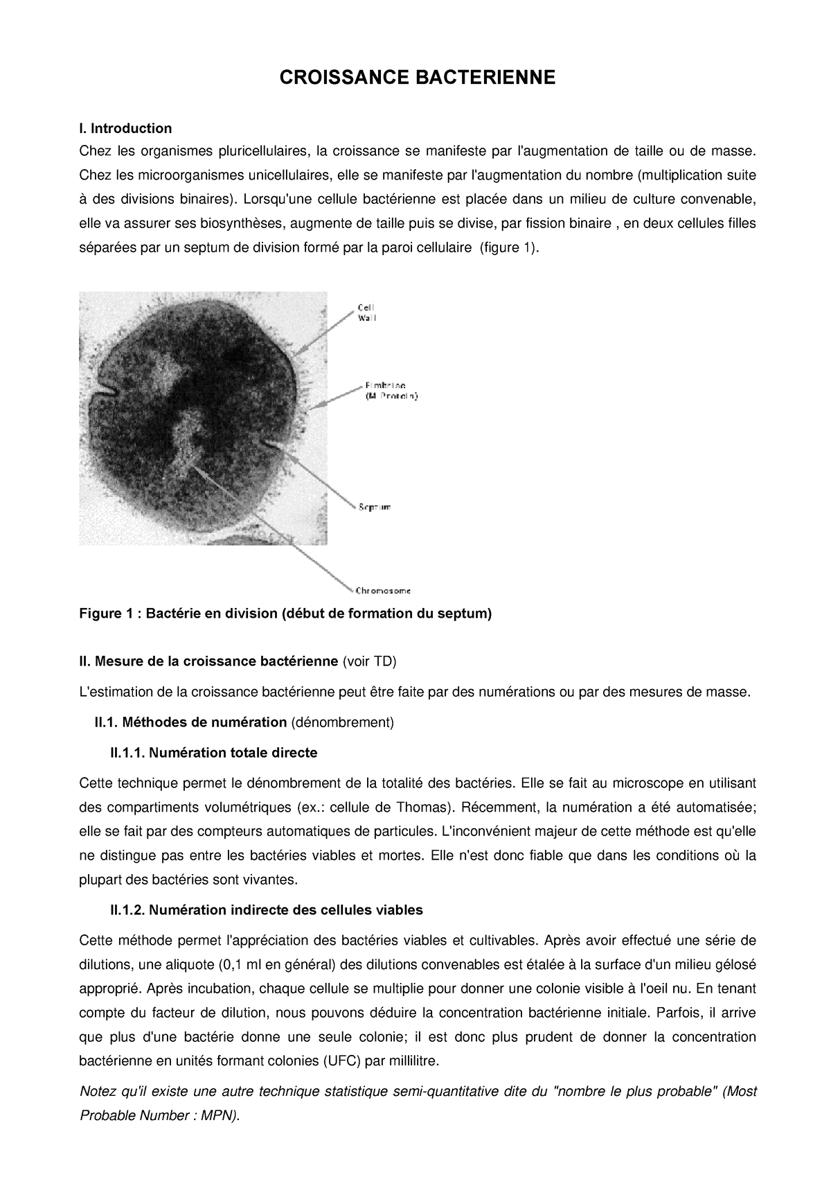 Croissance Bacterienne - CROISSANCE BACTERIENNE I. Introduction Chez ...