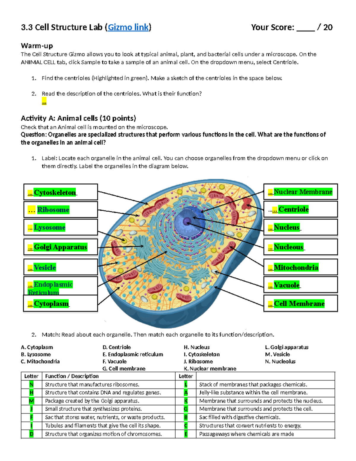 3.3 Cell Structure Gizmo Lab 23 - 3 Cell Structure Lab (Gizmo link ...