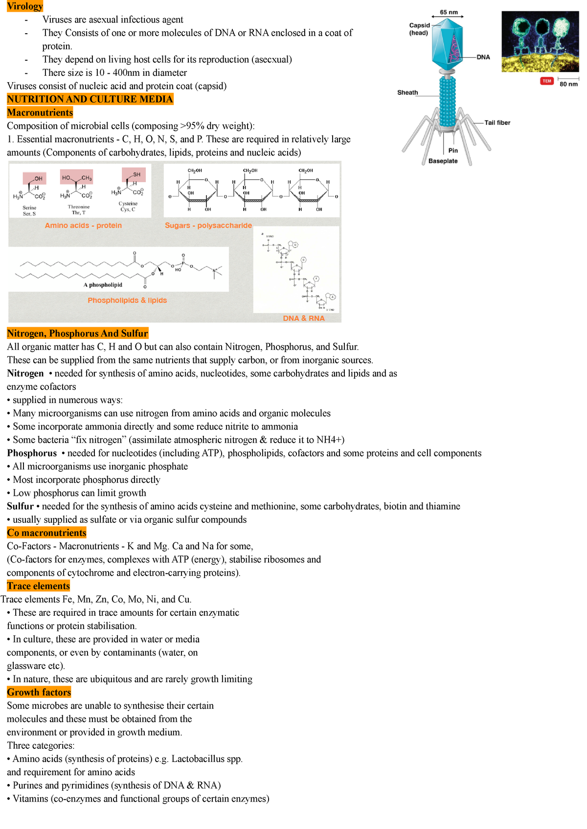 Microbiology Cheat Sheet Virology Viruses Are Asexual Infectious Agent They Consists Of 9956