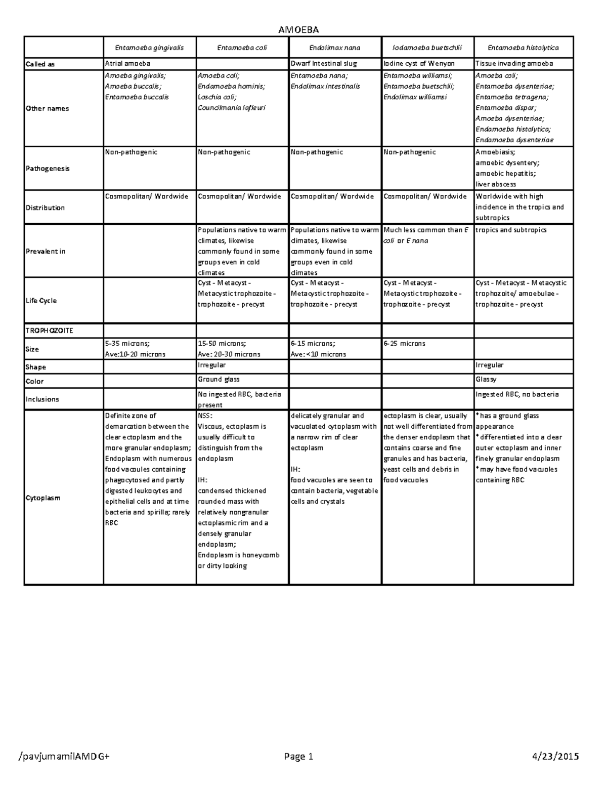 Para Lec Tables Amoeba - science - Entamoeba gingivalis Entamoeba coli ...