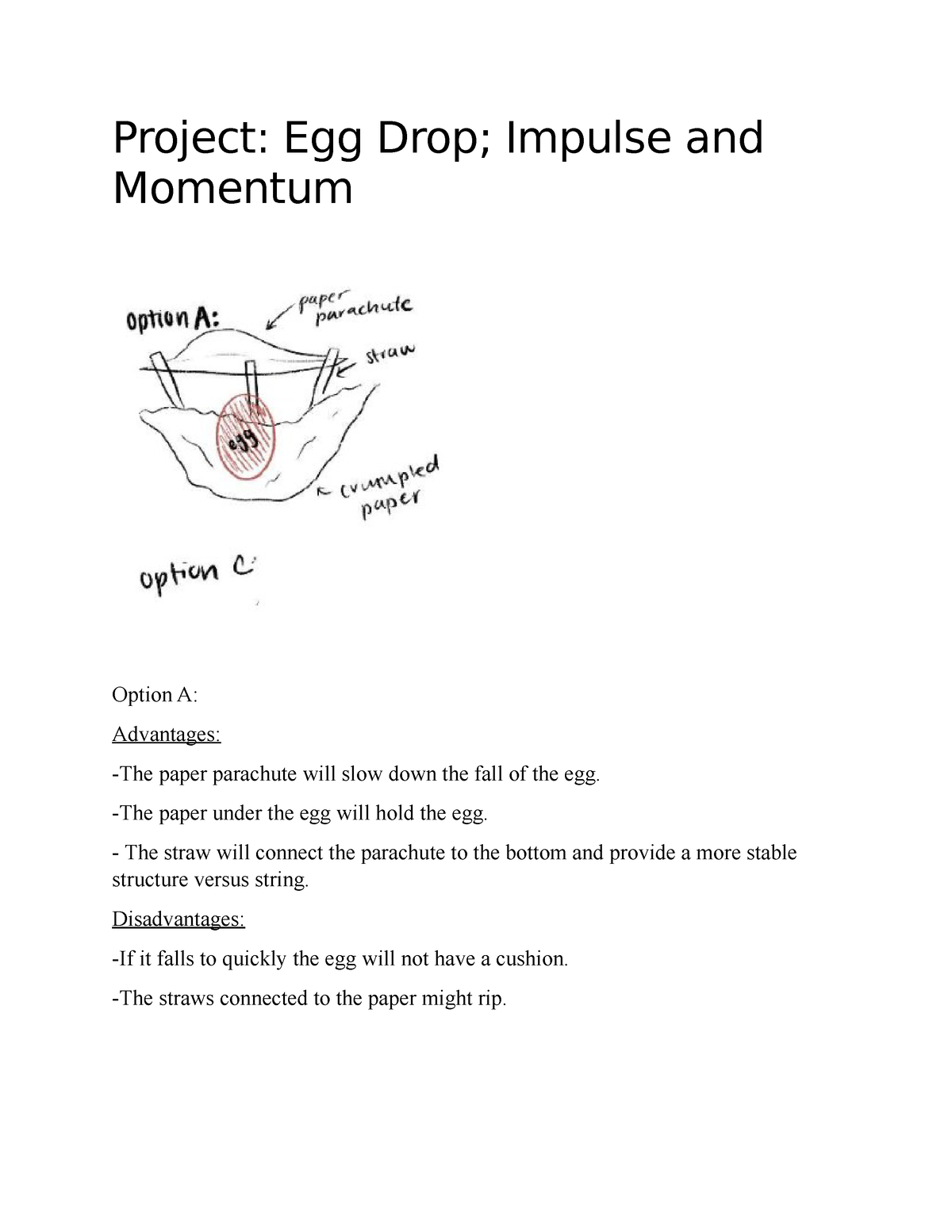 egg drop project assignment