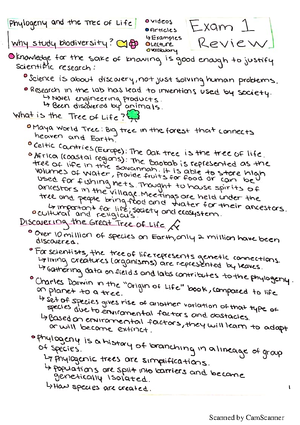 Evolution of Eukaryotes - BSC 2011 - Studocu