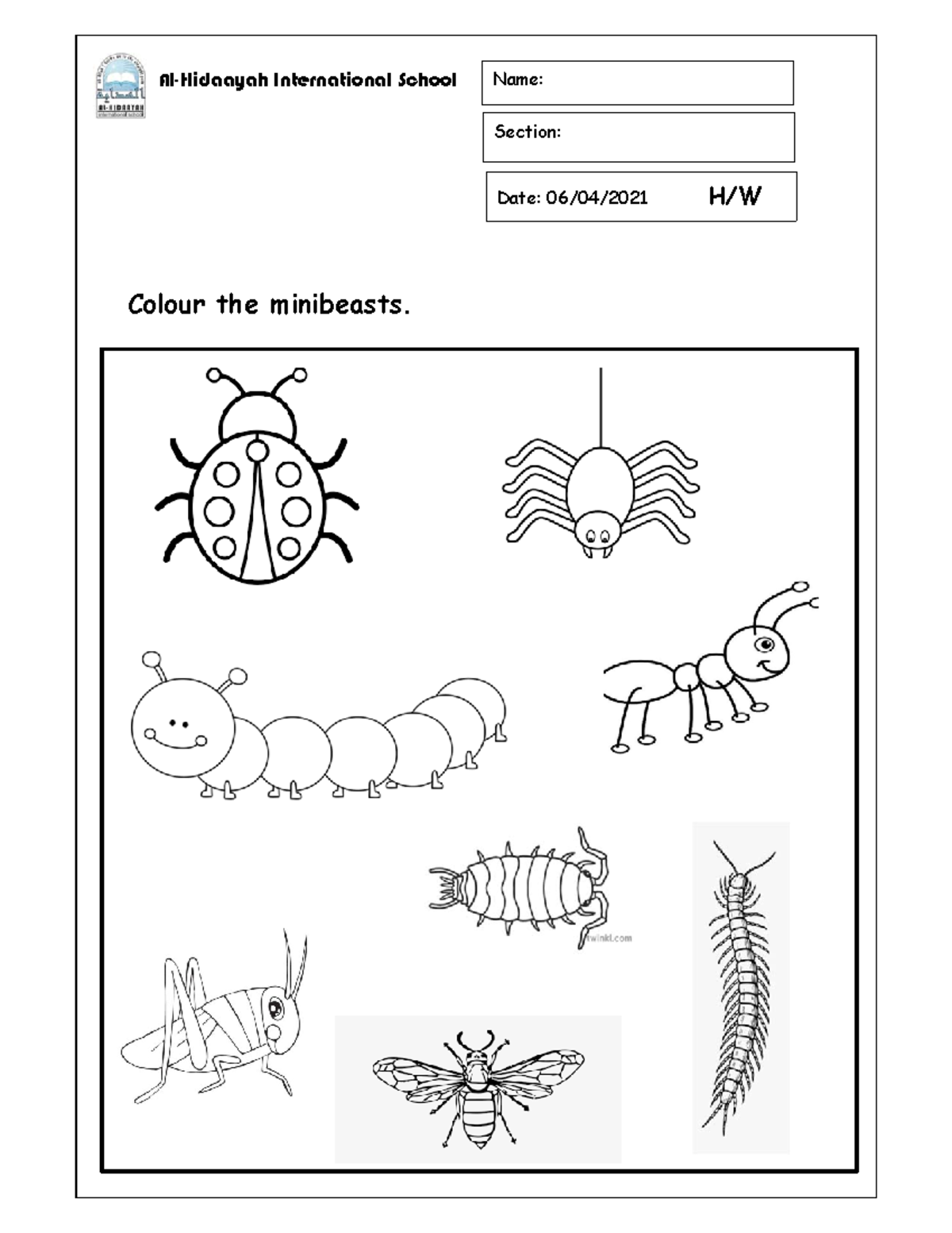 4th-8th April mini beast worksheet - Colour the minibeasts. Section ...