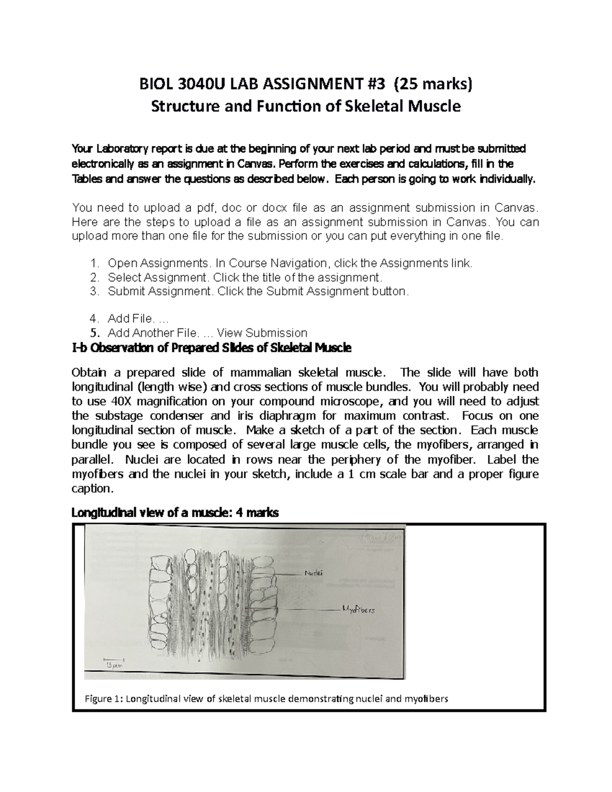 biol 133 lab assignment 3 chemistry of life