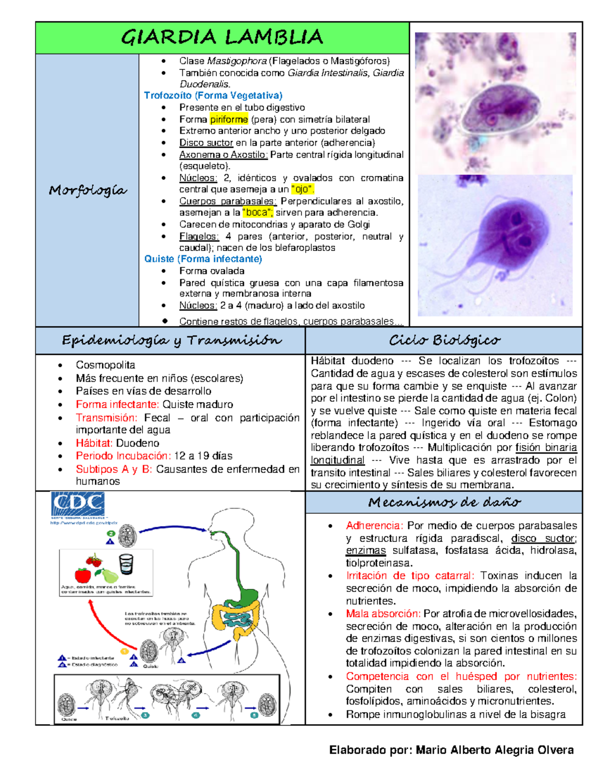 4. Giardia Lamblia APUNTES DE CLASE QUE TE AYUDARAN A PASAR LA