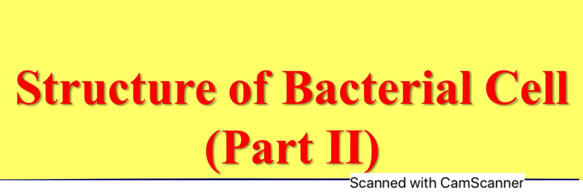 Lec 2 Structure Of Bacterial Cell 2 - Bacteriology - Studocu