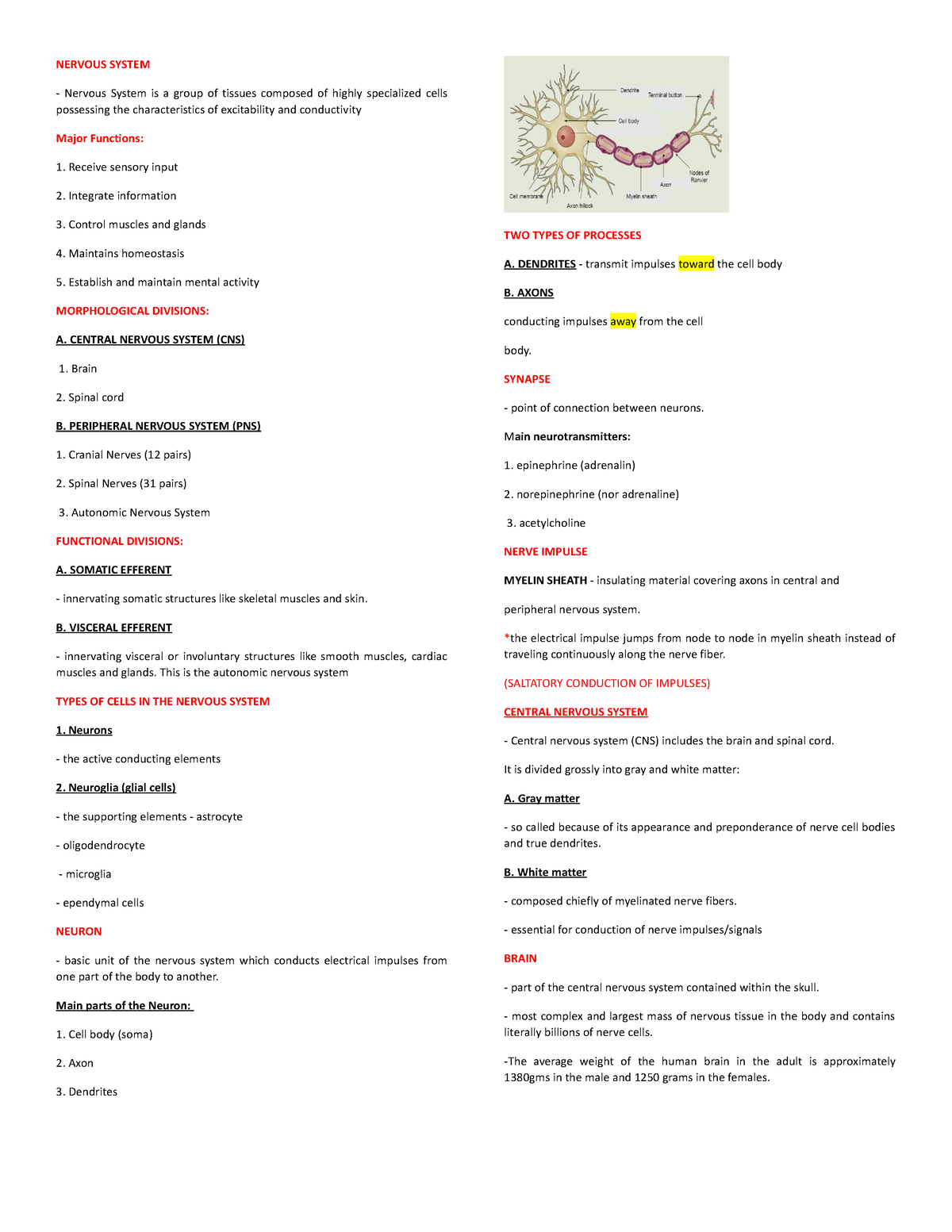 Nervous System - ANAPHY 111 Notes - Anatomy And Physiology - OLFU - Studocu