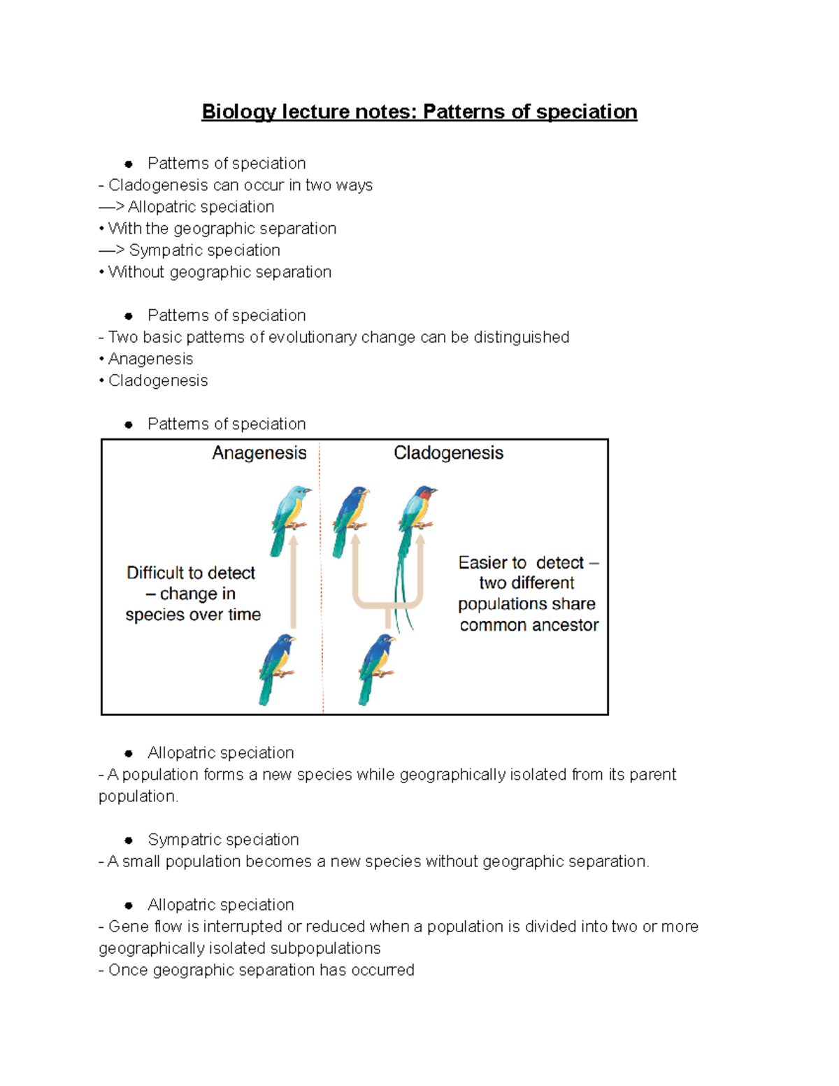 Biology lecture notes Patterns of speciation Sympatric speciation A small population a