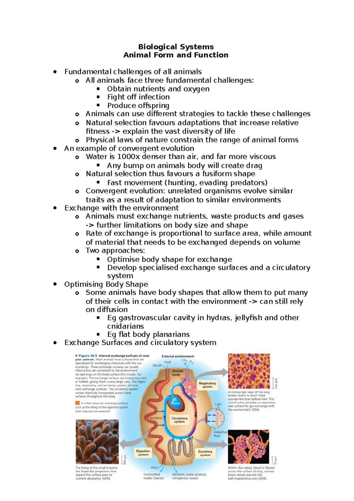 Animal Form and Function - Biological Systems Animal Form and Function ...