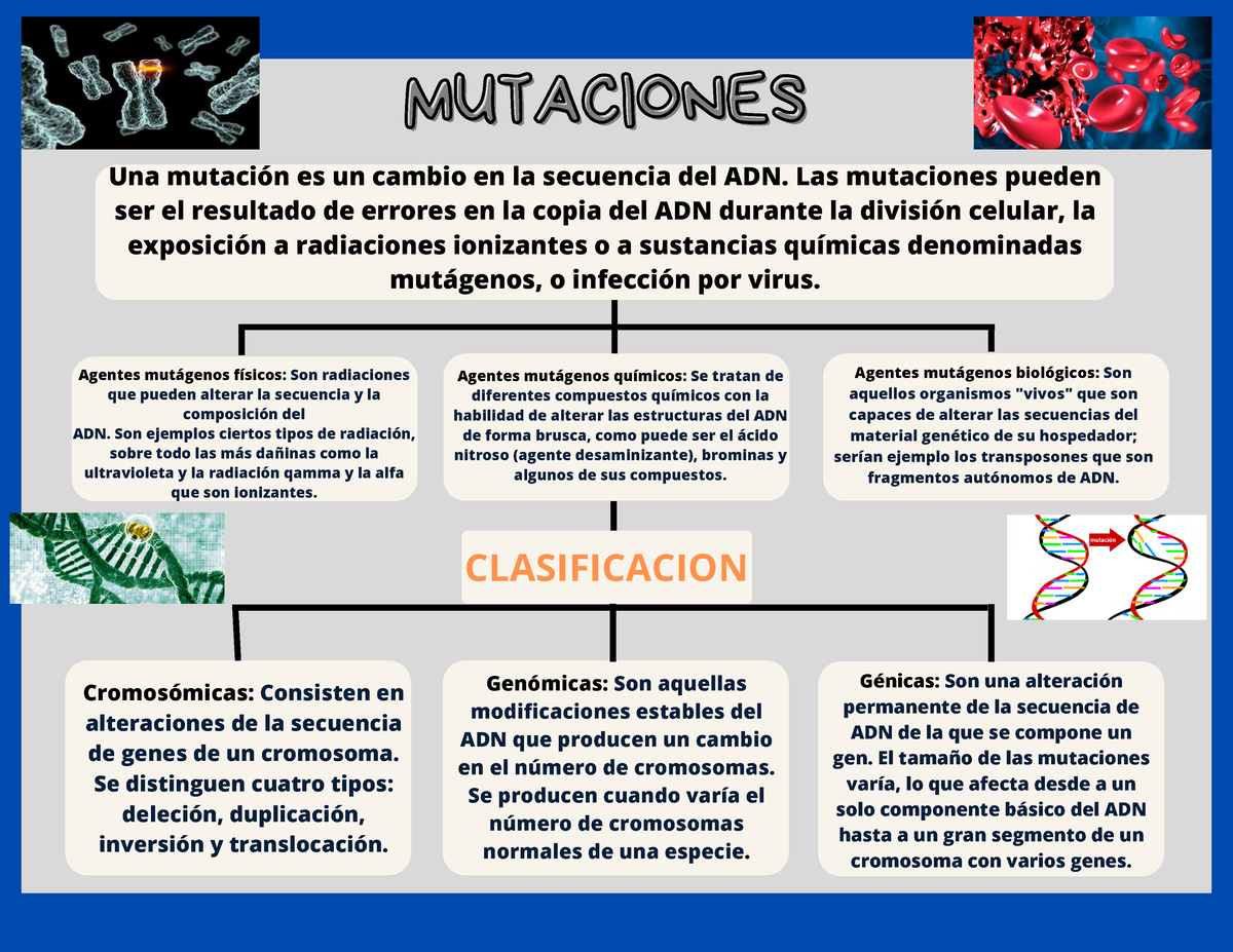 Mutaciones - Tarea Cuadro - MUTACIONESMUTACIONES Una Mutación Es Un ...