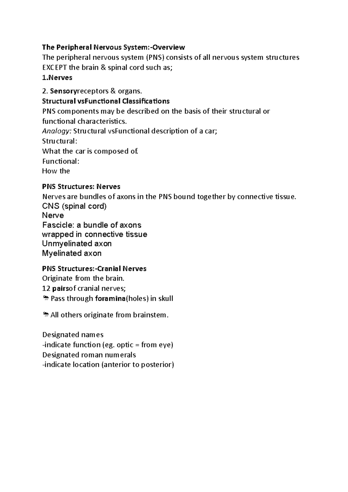 the-peripheral-nervous-system-the-peripheral-nervous-system-overview