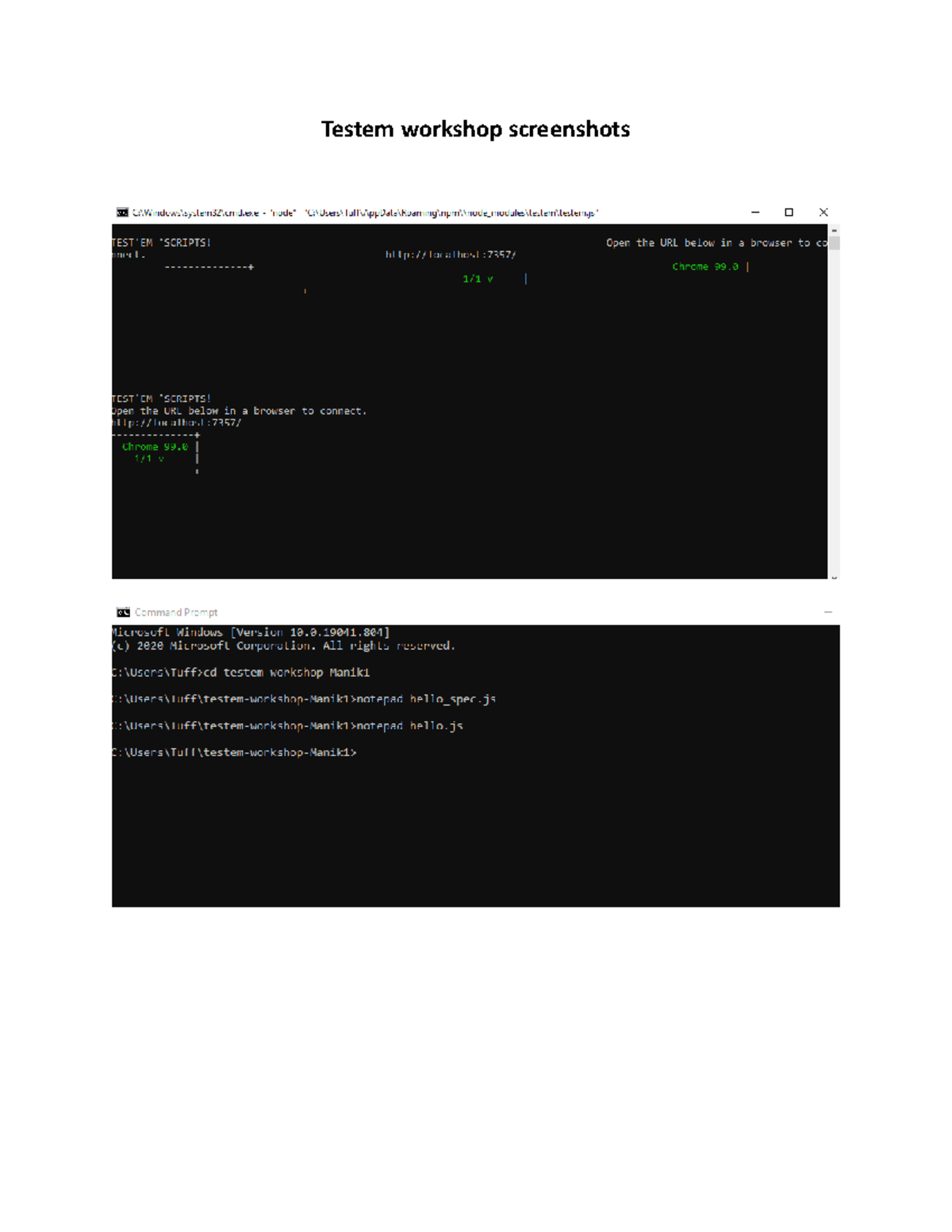 Testem screenshot - Here is the assignment of Software testing and UI ...