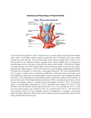 Script Intramuscular - Script part 2 for intramuscular injections Greet ...