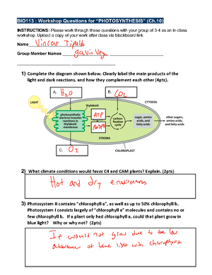 BIO 113 LAB Final Review - LAB FINAL REVIEW Your lab final will assess ...
