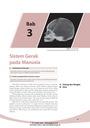 Bab 9 Sistem Reproduksi - 157 Sumber: Biology: Realm Of Life , 2006 ...