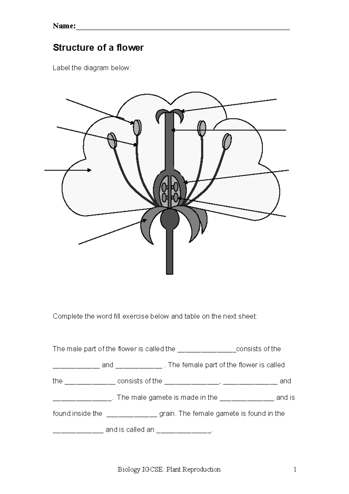 Plant Reproduction Prepro Structure Of A Flower Label The Diagram