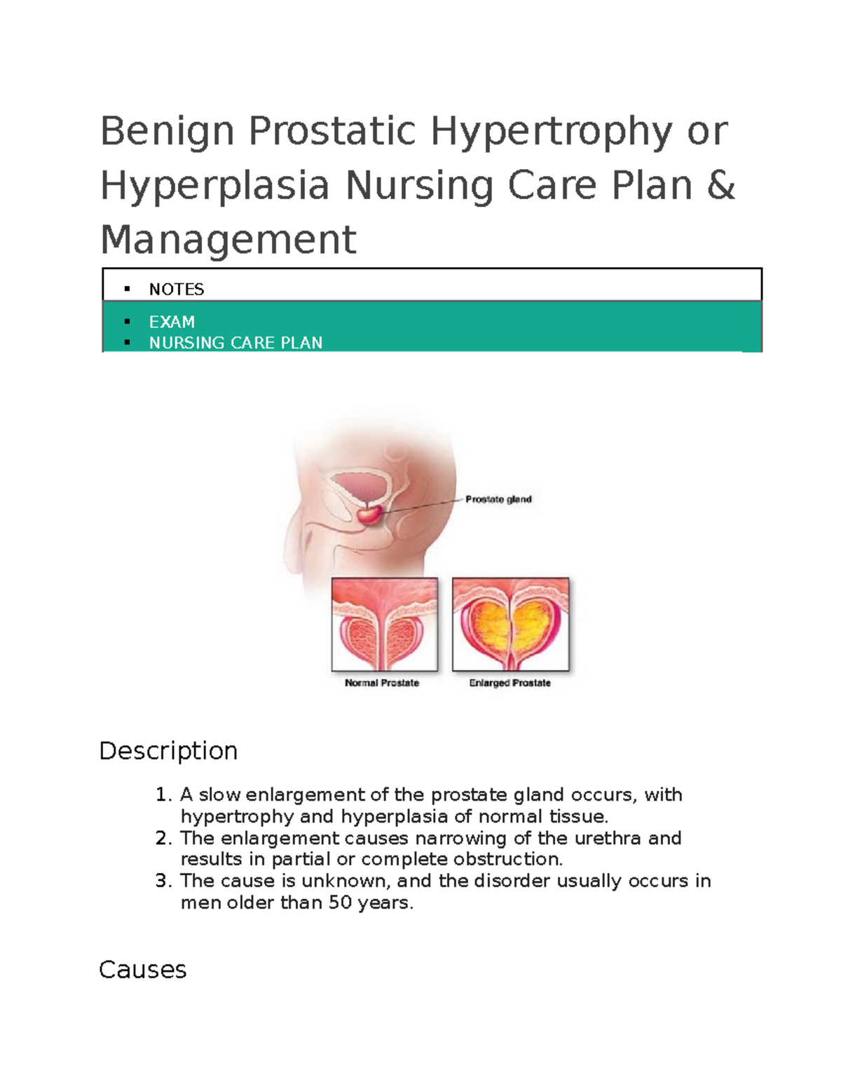 Benign Prostatic Hypertrophy or Hyperplasia - Benign Prostatic ...