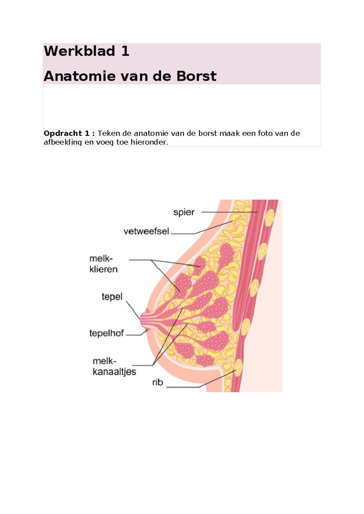 Silverette
