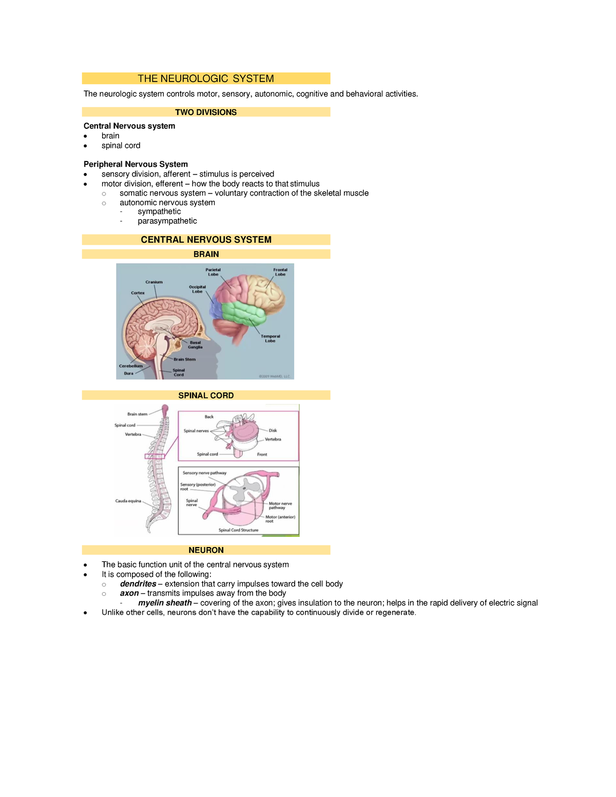 THE Neurologic System - THE NEUROLOGIC SYSTEM The Neurologic System ...