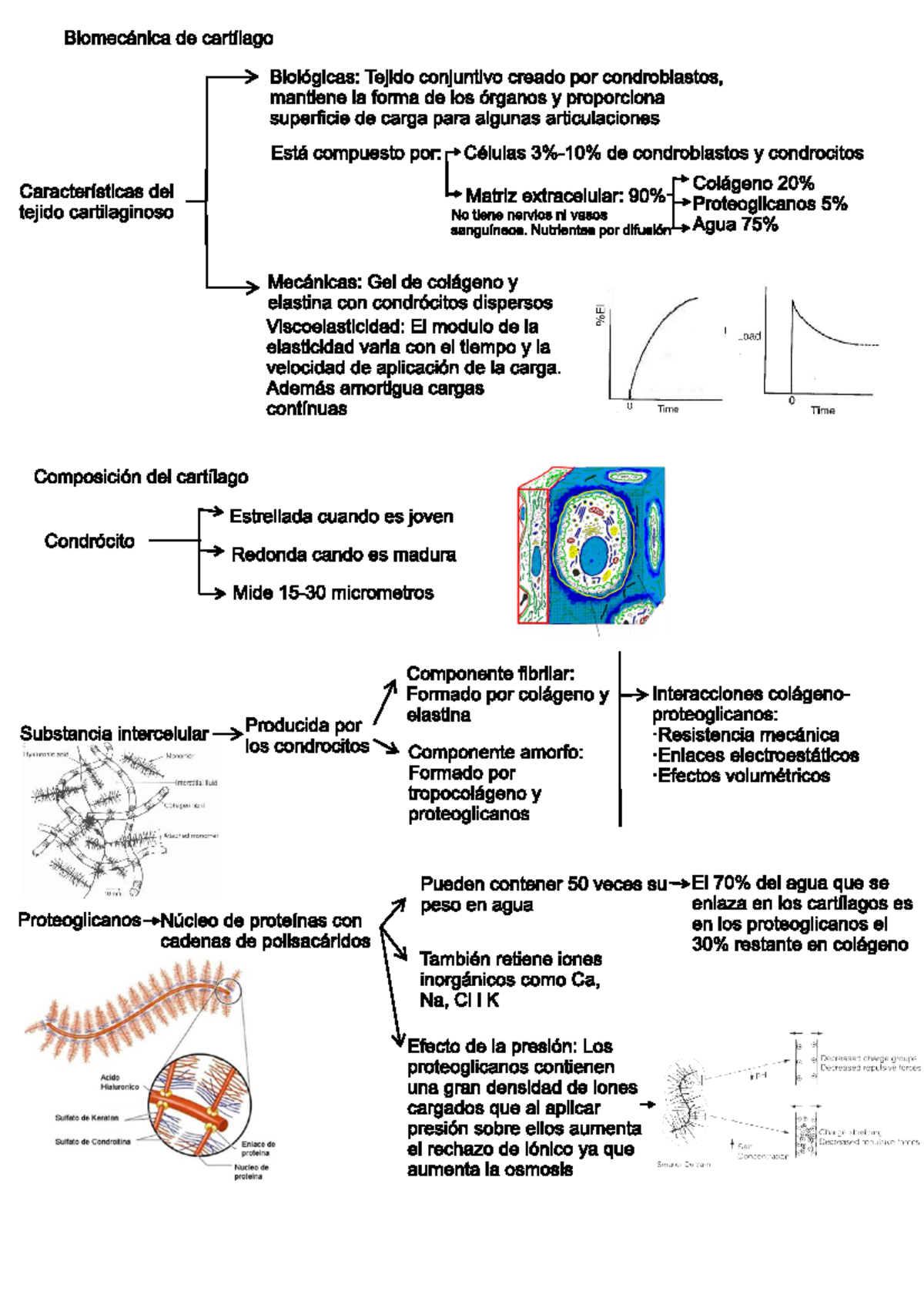 Tema 2b - Apuntes Biomecanica - Biomecanica De Cartilago Bioldgicas ...