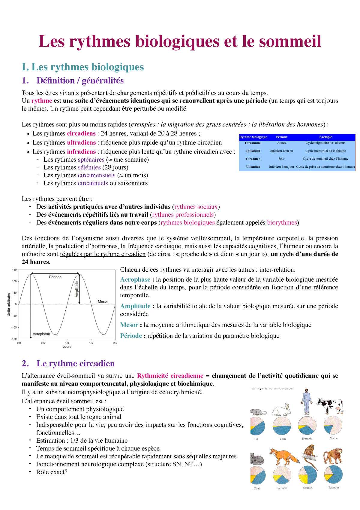 Les Rythmes Biologiques Et Le Sommeil - Les Rythmes Biologiques 1 ...