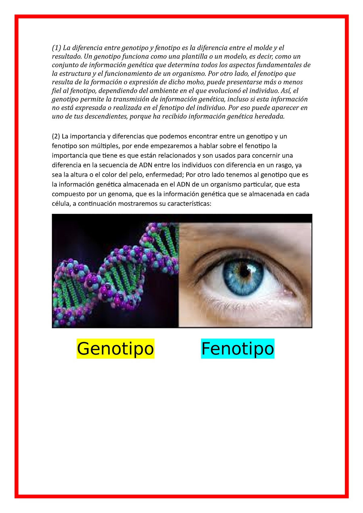 Genotipo Y Fenotipo 1 La Diferencia Entre Genotipo Y Fenotipo Es La Diferencia Entre El 4449