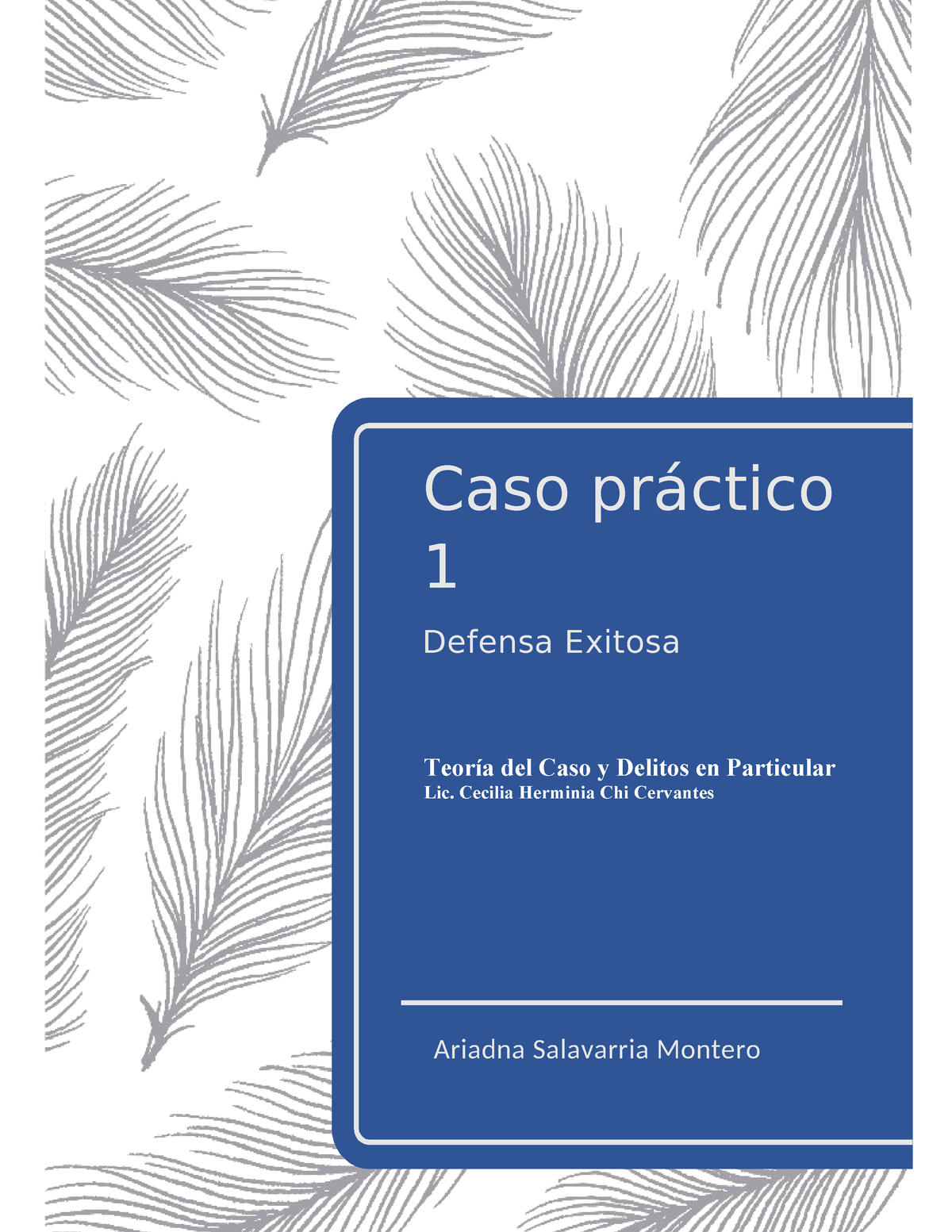 Caso PrÁ Ctico 1 Caso Práctico 1 Defensa Exitosa Ariadna Salavarria Montero Teoría Del Caso Y 2413