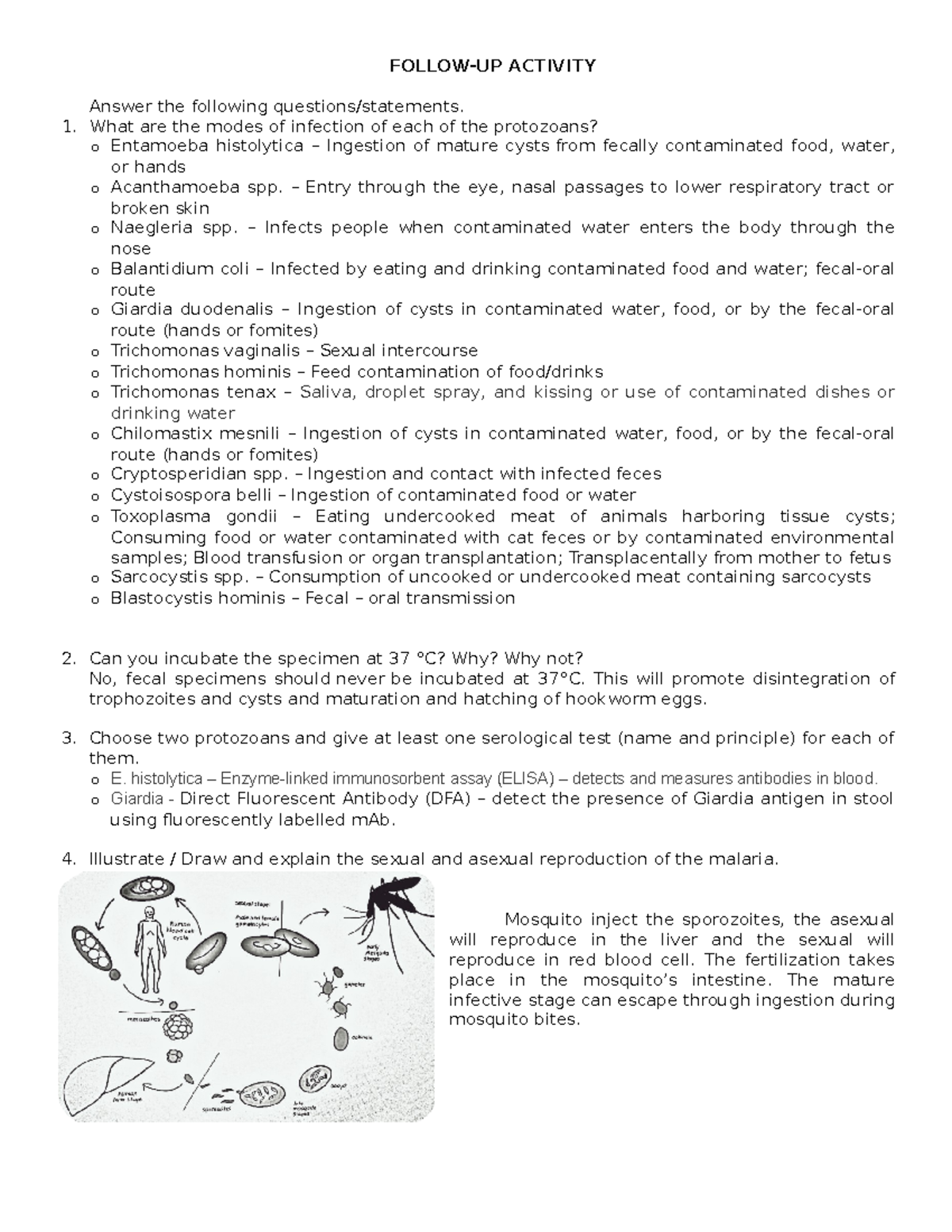 follow-up-act-follow-up-activity-answer-the-following-questions