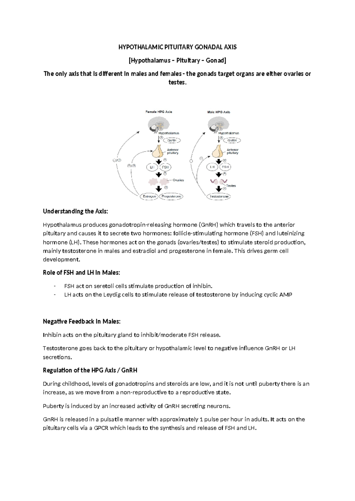 HPG Axis - HPG Axis - HYPOTHALAMIC PITUITARY GONADAL AXIS [Hypothalamus ...