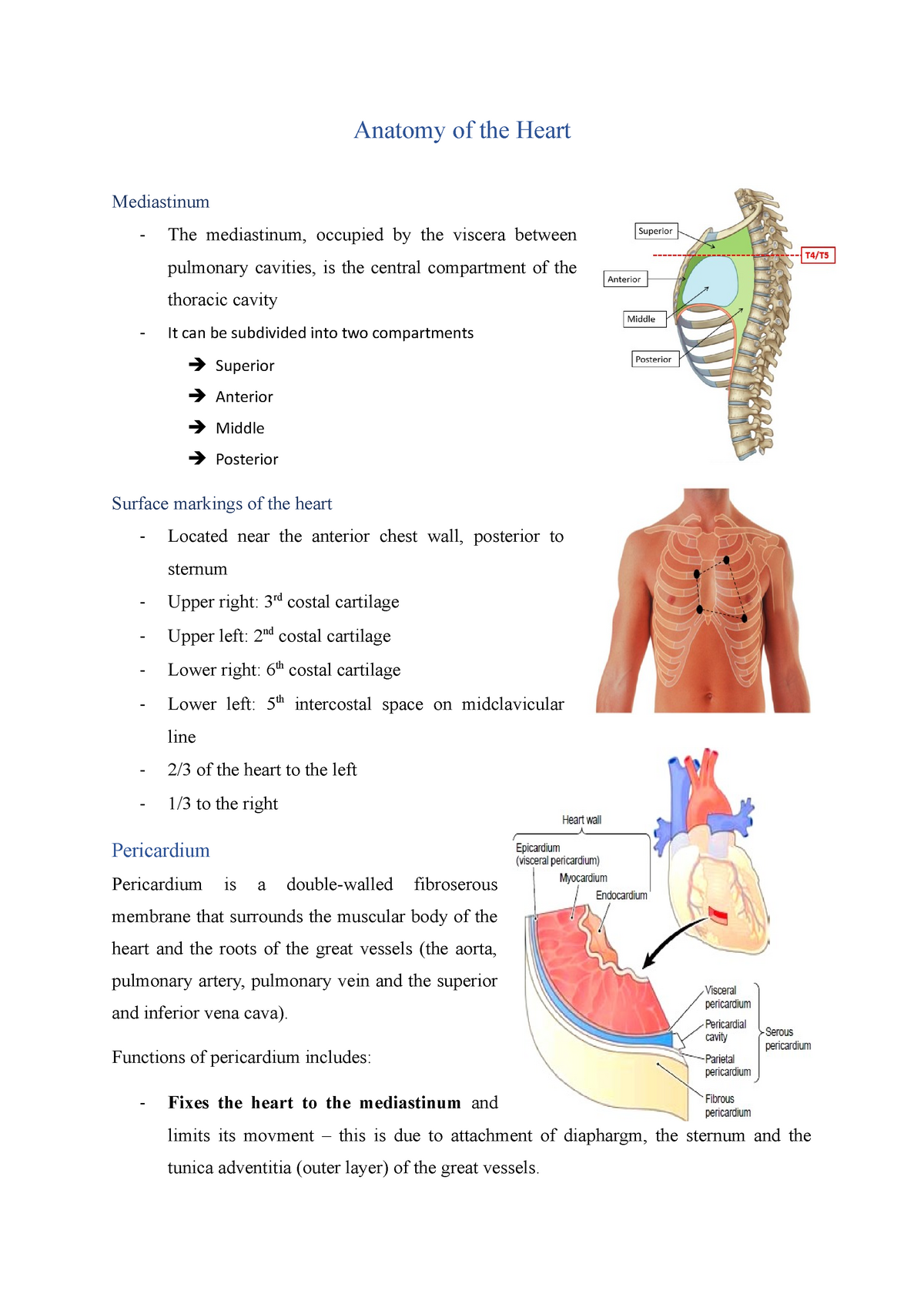 Anatomy of the Heart - Lecture notes 2 - Anatomy of the Heart ...