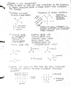 Review Sheet Exam Three - Review Sheet—Exam Three Chapter 28: What ...