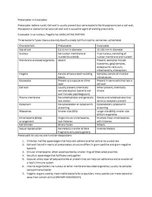 Pre-Lab 5 Plant Diversity II Gymnosperms and Angiosperms - Pre-Lab 5 ...