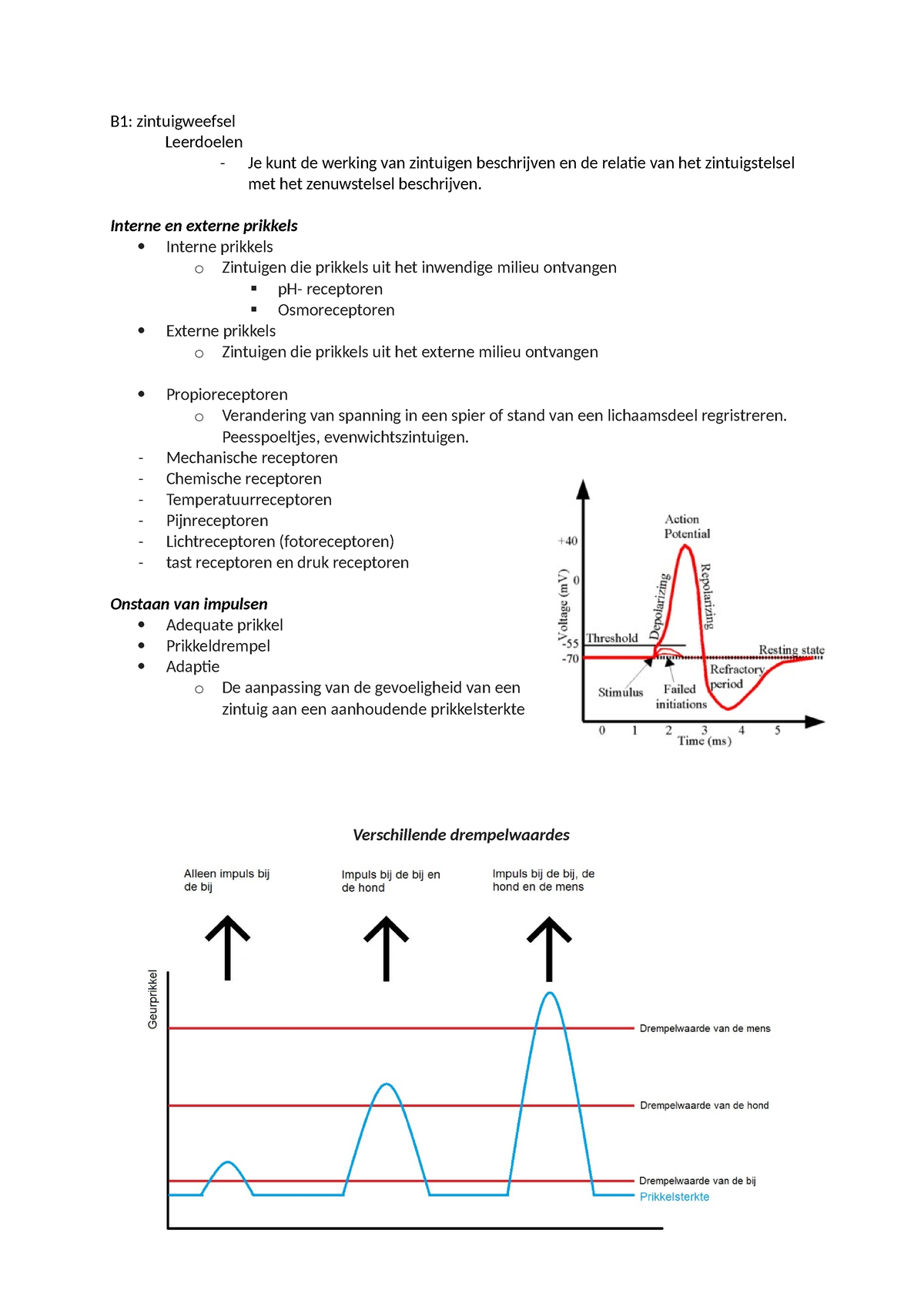 Bio Tw2 V5 - Is Van Waarneming En Gedrag - B1: Zintuigweefsel ...