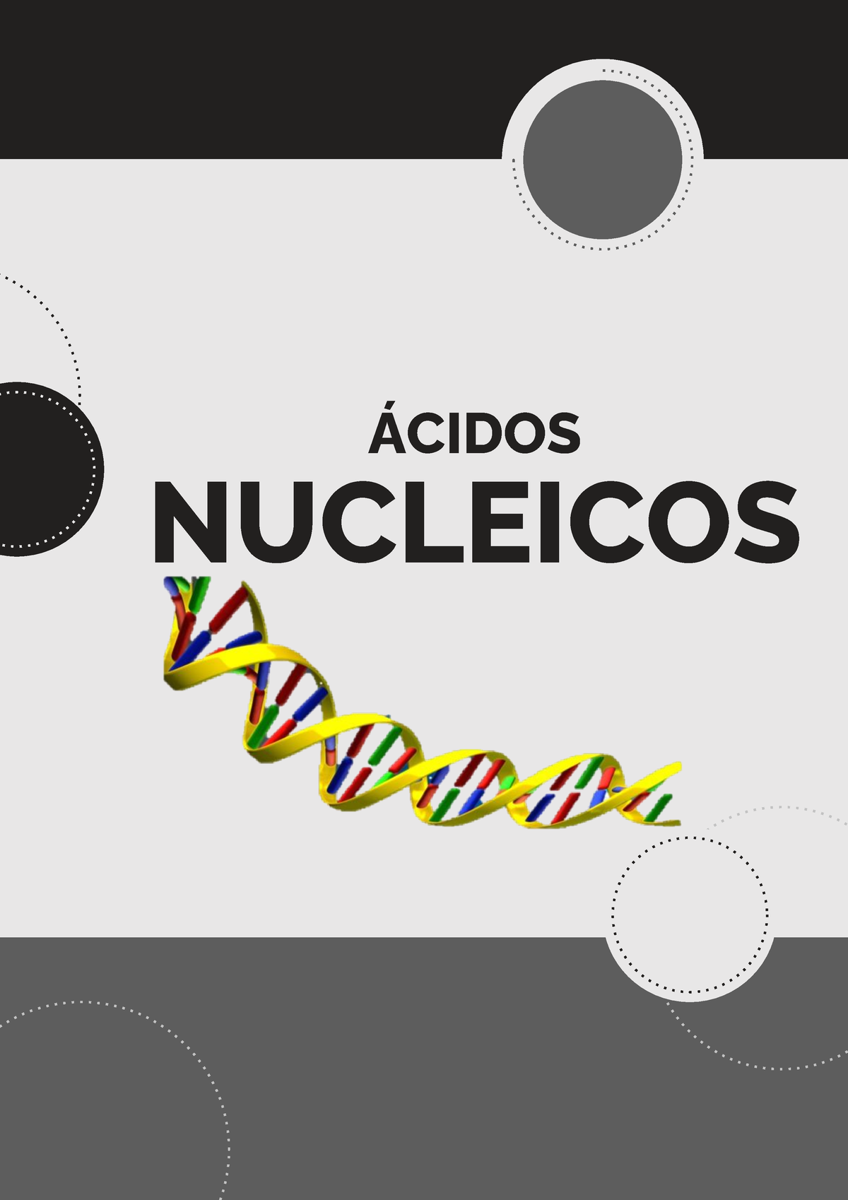 Ácidos Nucleicos - Apuntes. - ÁCIDOS NUCLEICOS ÁCIDOS NUCLEICOS ...