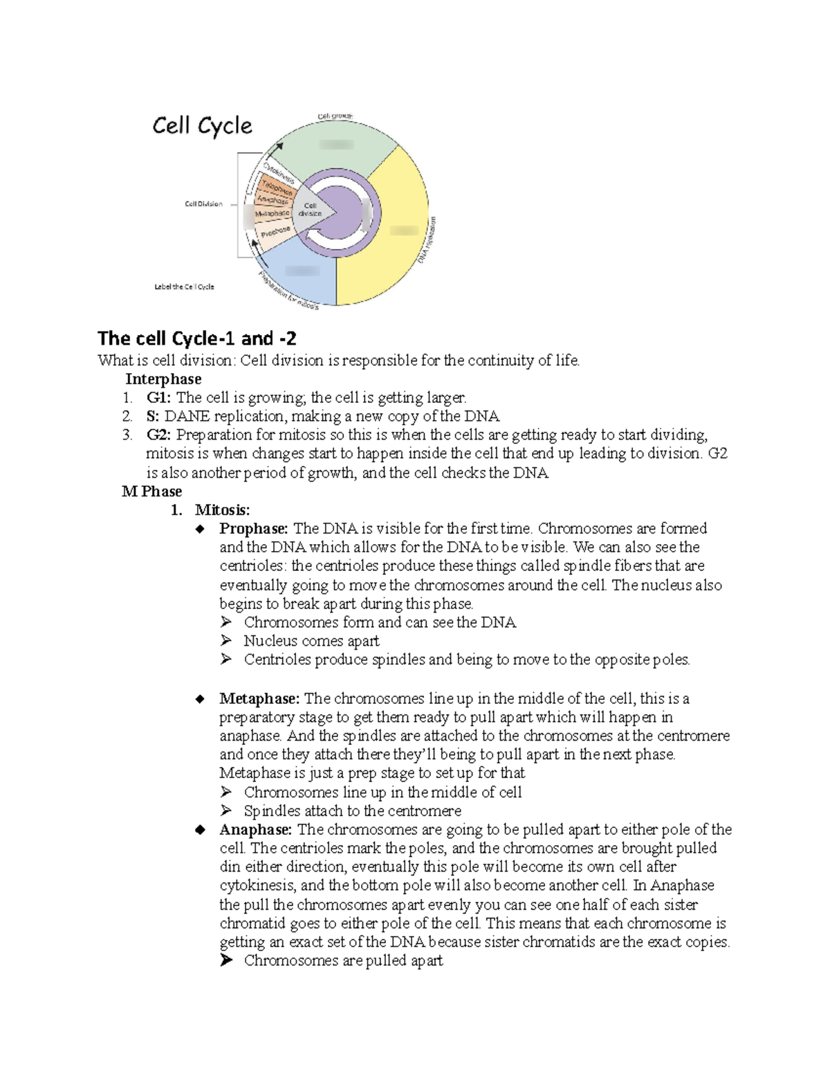 What Is Cell Division Short Answer