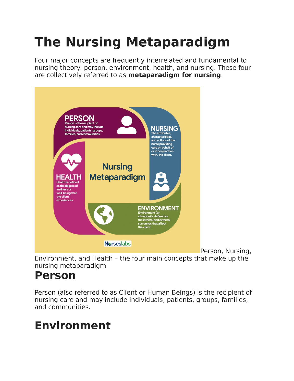 nursing metaparadigm essay