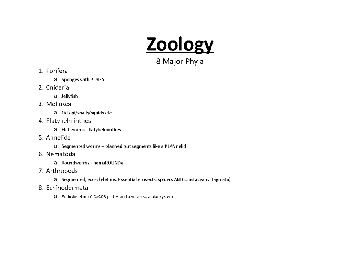 Zoology Review Zoology 8 Major Phyla 1. Porifera a. Sponges with