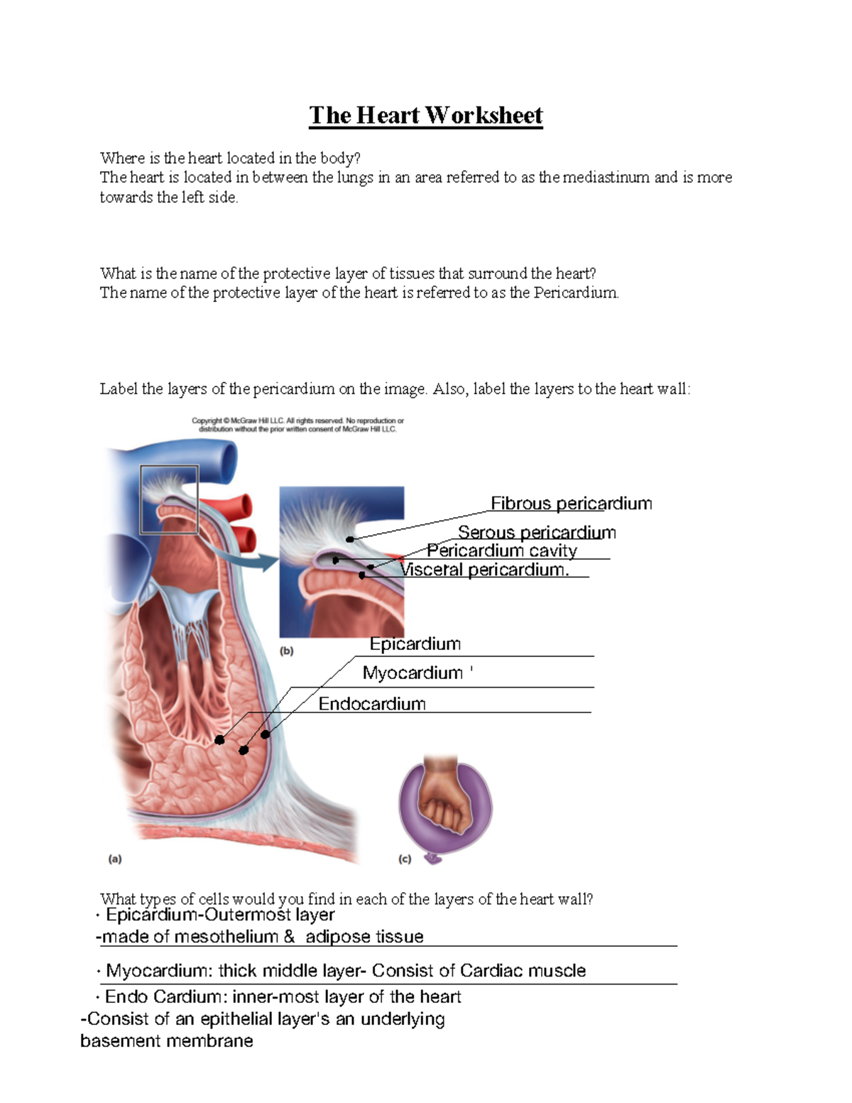 assignment for heart